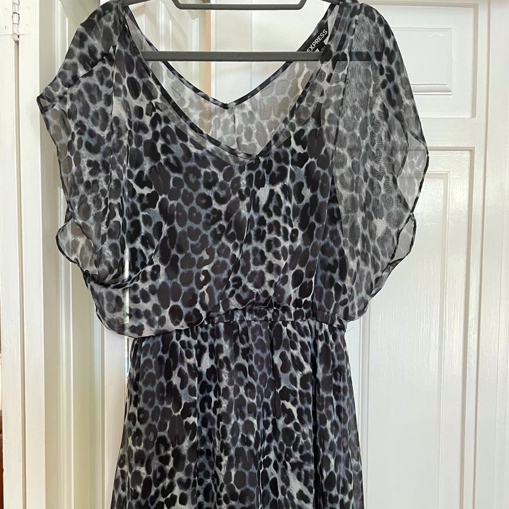 Medium Express women’s leopard print knee length